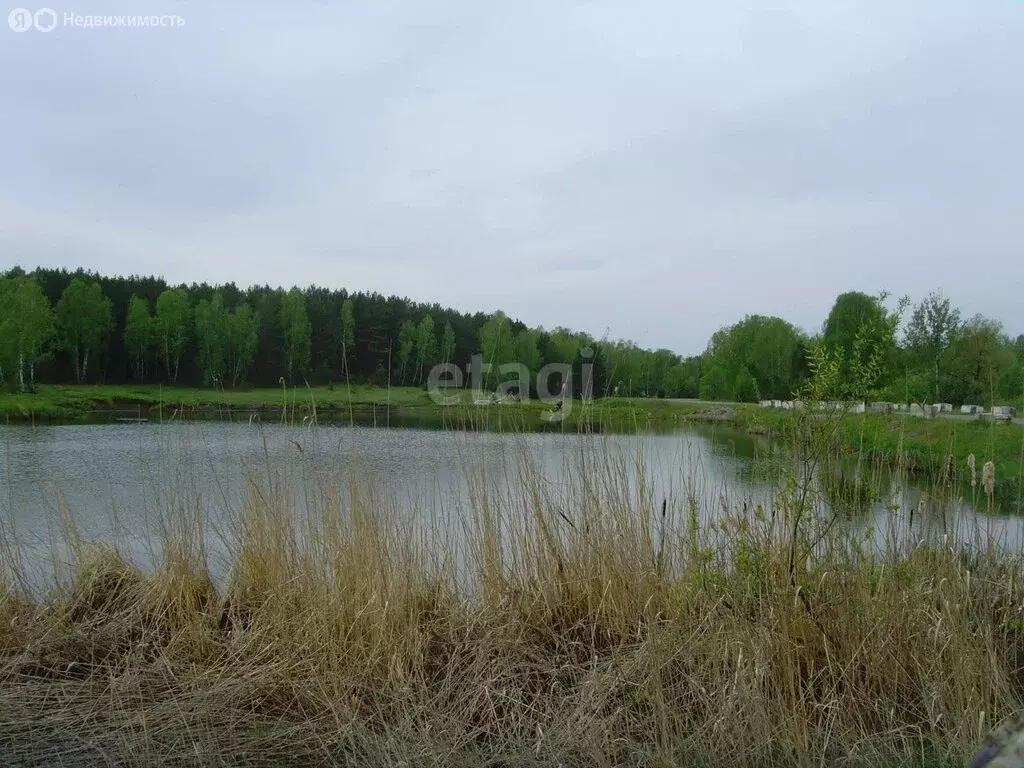 Участок в Красноярский край, посёлок городского типа Шушенское (9777.3 ... - Фото 0