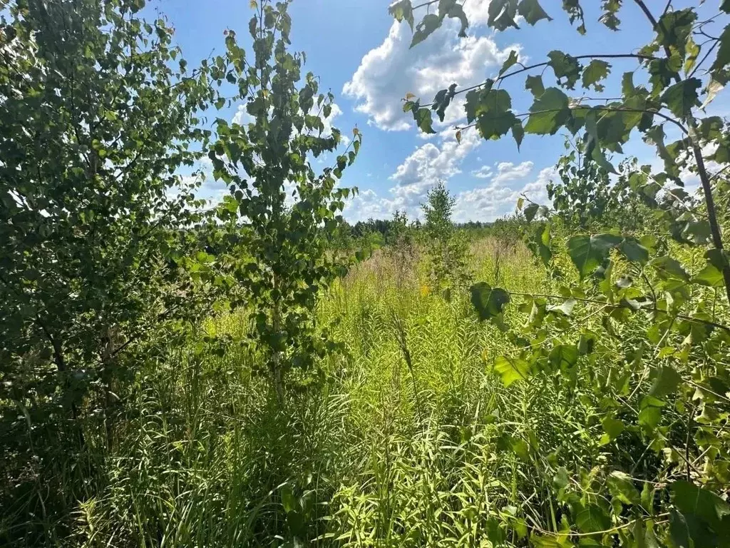 Участок в Удмуртия, Завьяловский район, д. Сепыч ул. Кедровая, 13 (9.0 ... - Фото 1