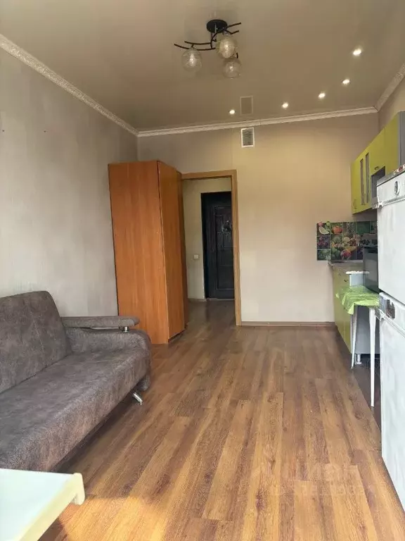 Студия Хакасия, Абакан просп. Дружбы Народов, 39 (24.0 м) - Фото 2