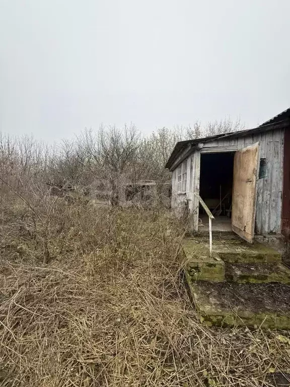 Участок в Воронежская область, Хохольский район, с. Кочетовка  (20.0 ... - Фото 1