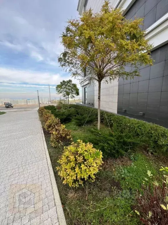 Студия Севастополь ул. Летчиков, 10к4 (34.3 м) - Фото 2