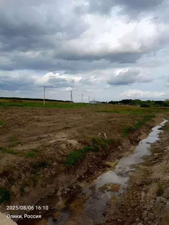 Участок в Ленинградская область, Ломоносовский район, Ропшинское ... - Фото 1