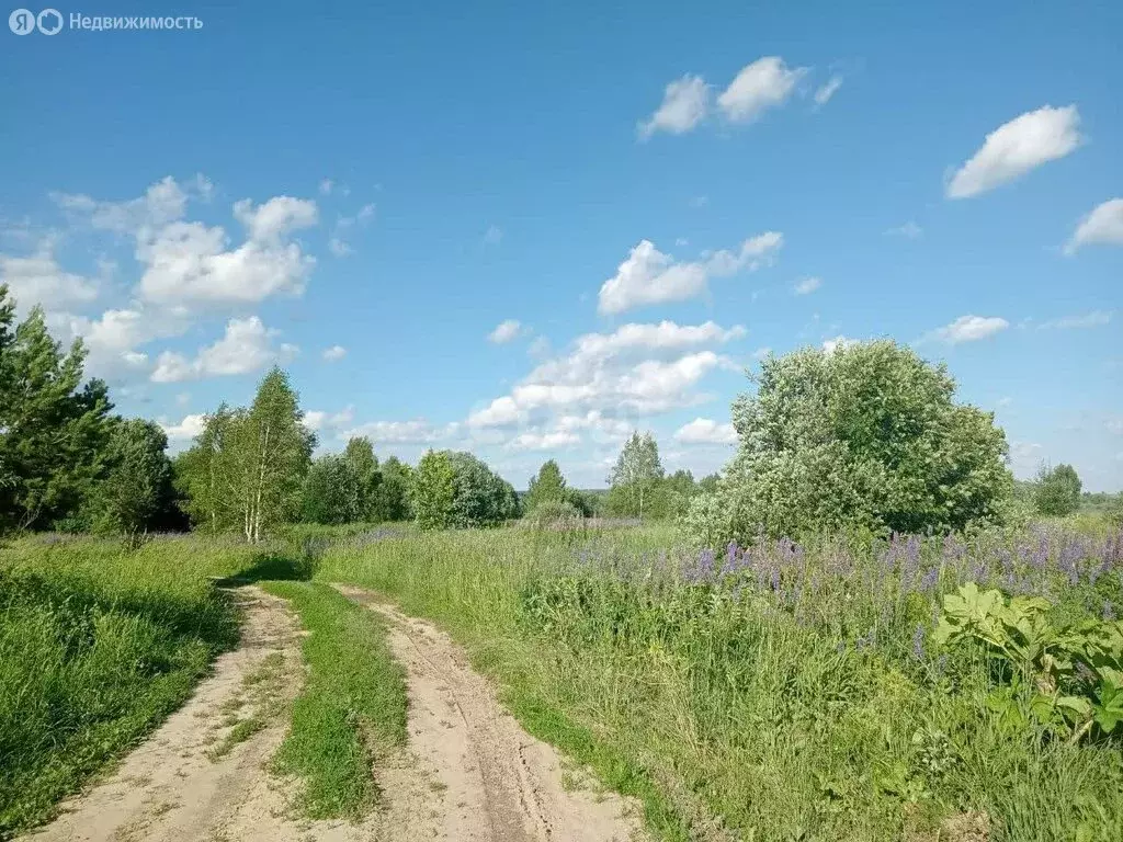 Участок в Ковровский район, муниципальное образование Малыгинское, ... - Фото 1