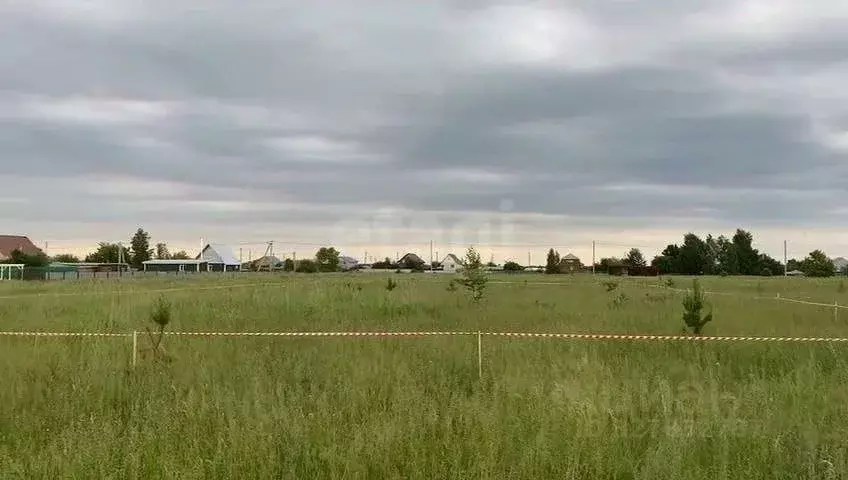 Участок в Курганская область, Кетовский муниципальный округ, с. ... - Фото 1