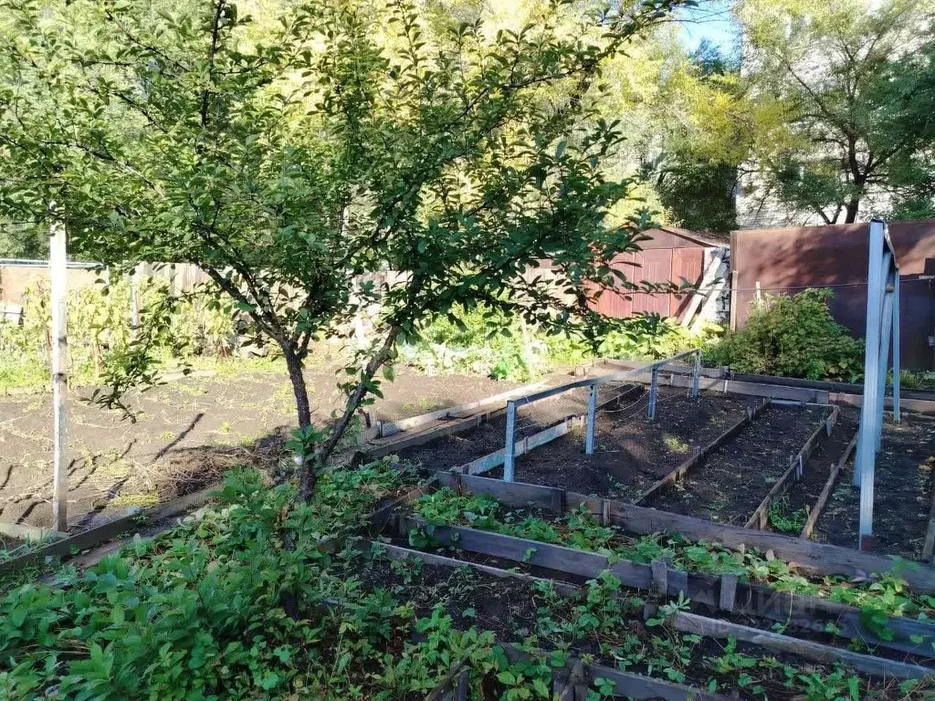 Дом в Амурская область, Благовещенск Зейский пер., 3 (59 м) - Фото 1