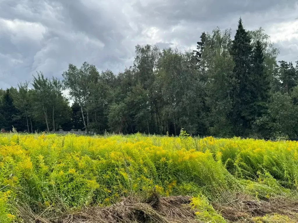 Участок в Московская область, Красногорск городской округ, д. ... - Фото 1
