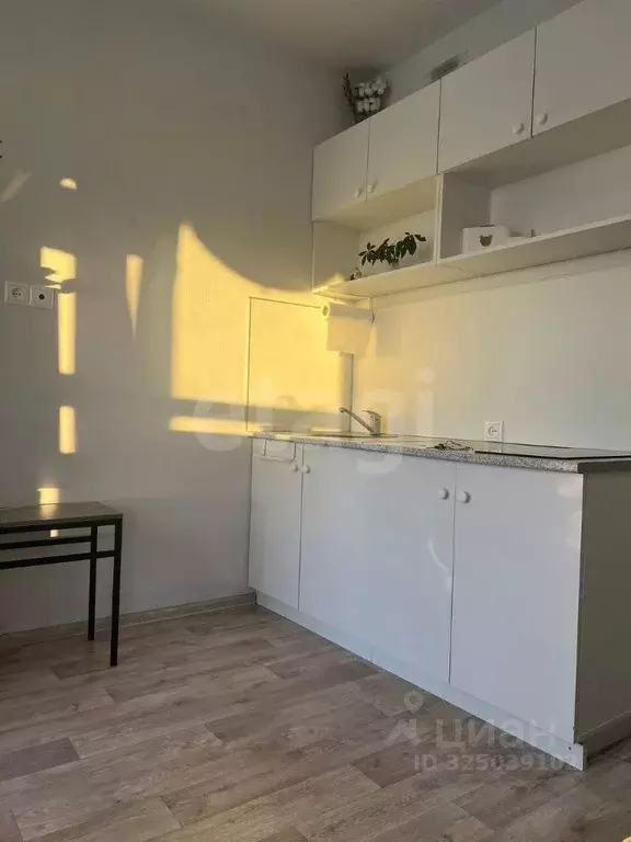 Студия Тюменская область, Тюмень ул. Новоселов, 115 (15.8 м) - Фото 2