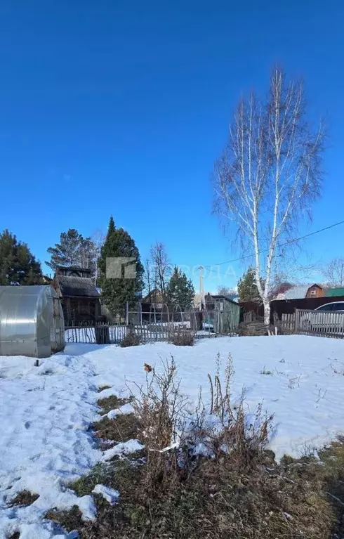 Дом в Новосибирская область, Новосибирск Заря садовое товарищество, ... - Фото 1