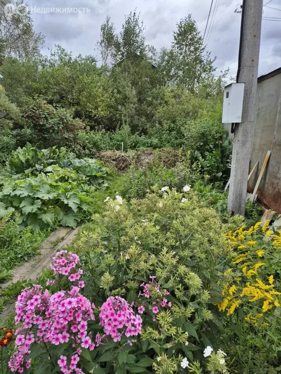 участок в екатеринбург, снт рябинка (6.7 м) - Фото 0