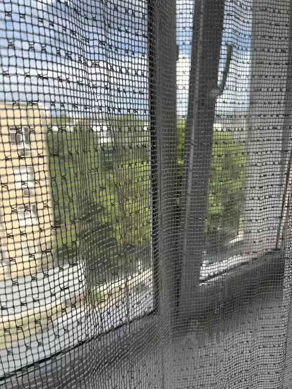 Комната Белгородская область, Белгород ул. Горького, 67 (13.0 м) - Фото 2