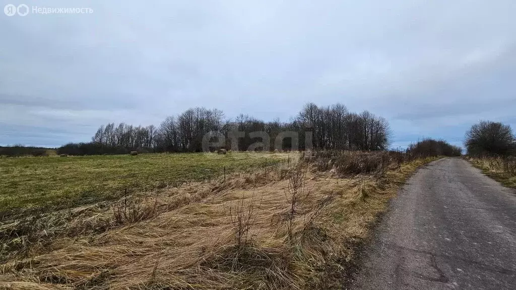 Участок в Калининградская область, Озёрский муниципальный округ, ... - Фото 2