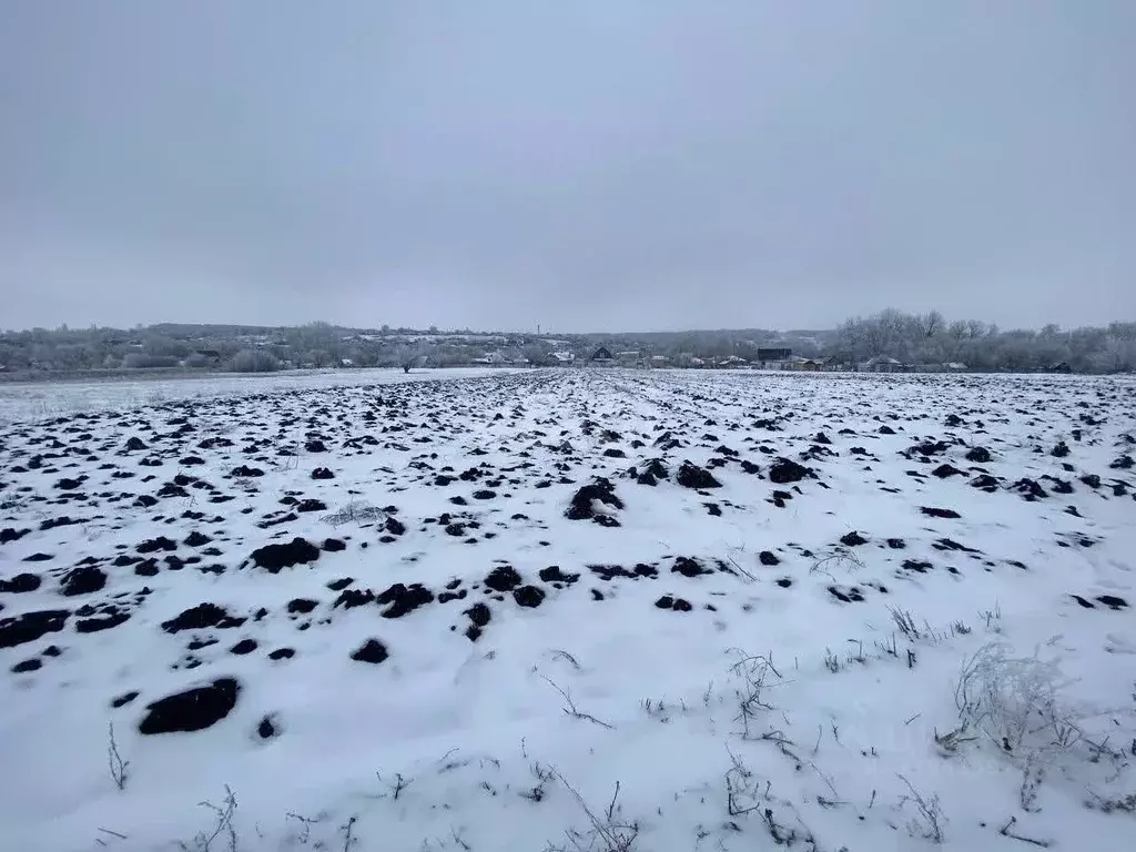 Участок в Воронежская область, Семилукский район, с. Медвежье Заречная ... - Фото 0