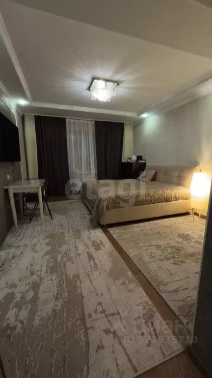 Студия Амурская область, Благовещенский район, с. Чигири Восточная ... - Фото 1