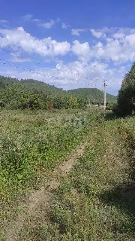 Амурская Область Купить Земельный Участок