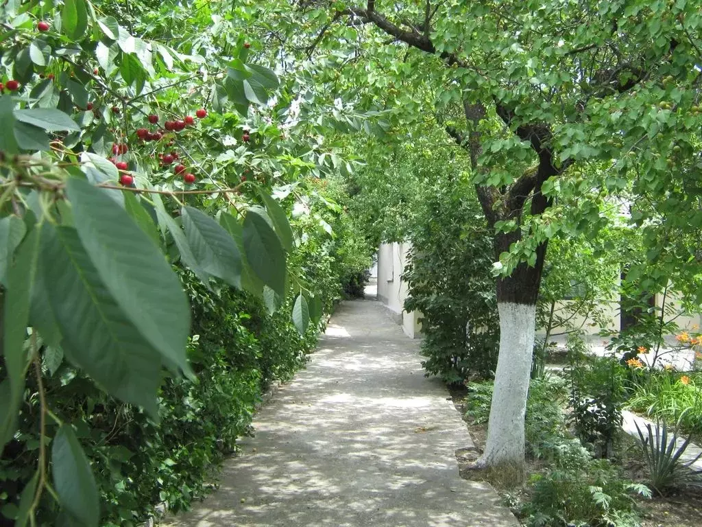 2-к кв. Крым, Судак ул. Бирюзова, 49 (45.0 м) - Фото 1