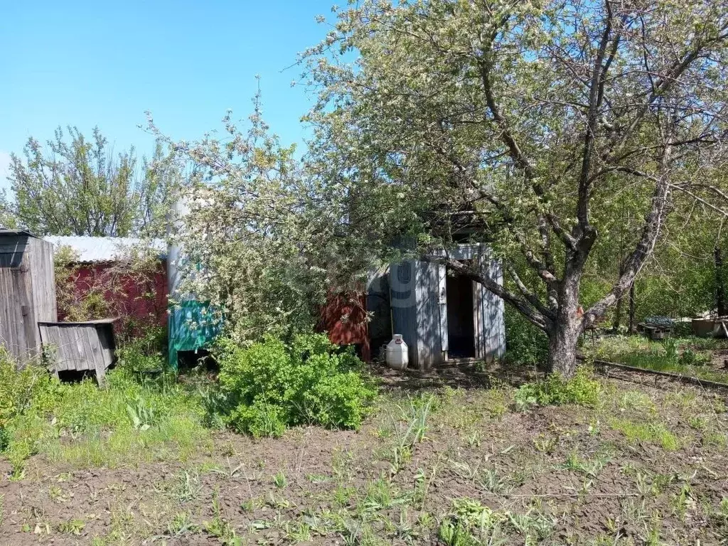 Участок в Саратовская область, Энгельсский район, Новопушкинское ... - Фото 1