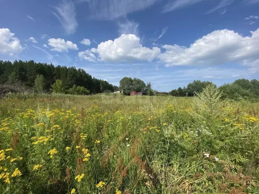 Участок в Владимирская область, Муром д. Макаровка,  (11.0 сот.) - Фото 1