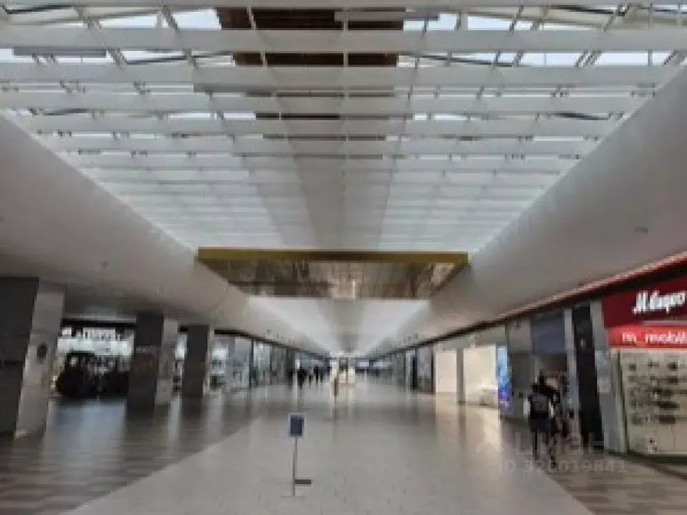 Торговая площадь в Московская область, Одинцовский городской округ, ... - Фото 1