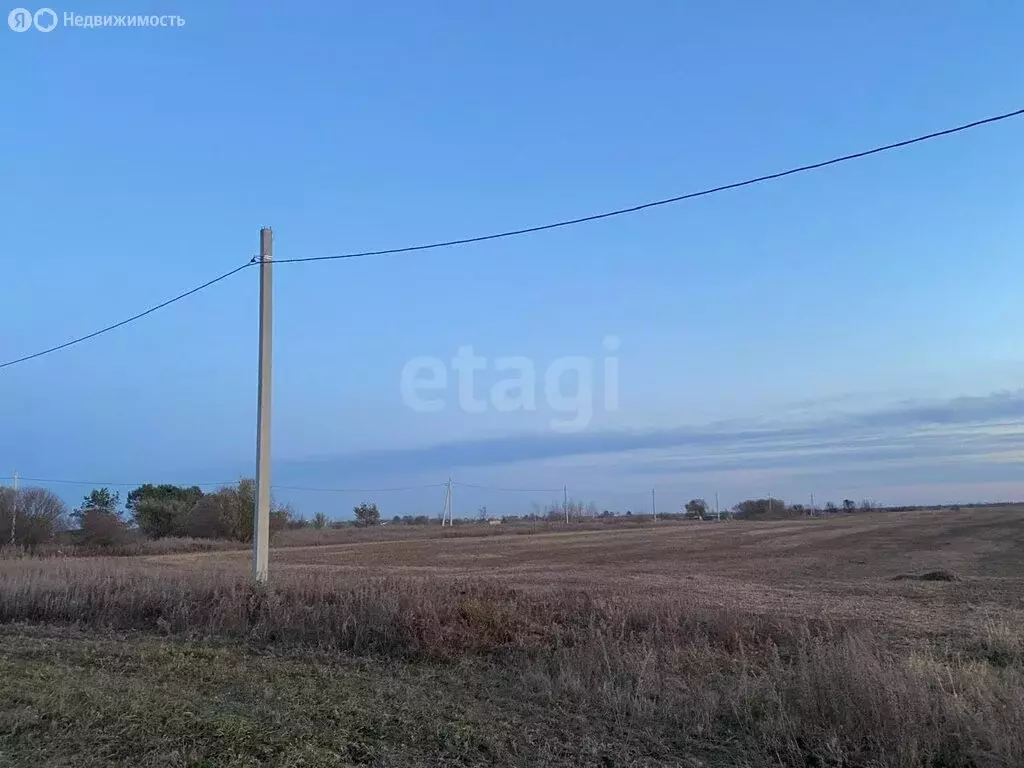 Участок в Амурская область, Зея (10000 м) - Фото 2