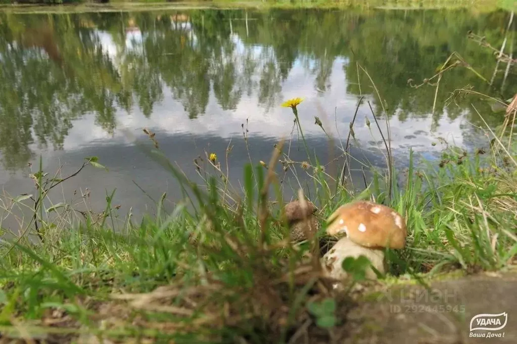 Участок в Калужская область, Малоярославецкий муниципальный округ, ... - Фото 2