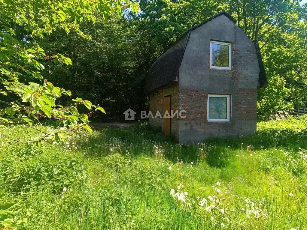 Дом в Калининградская область, Калининград Янтарь СНТ, Центральная ... - Фото 1