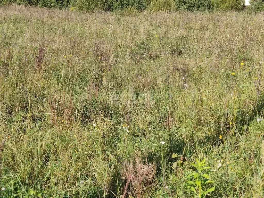 Участок в Калужская область, Калуга  (7.5 сот.) - Фото 1