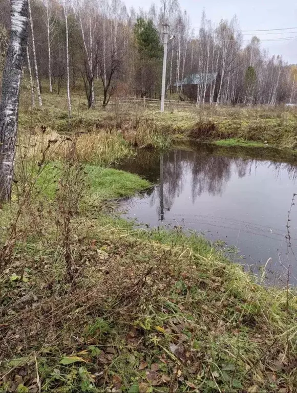Участок в Алтай, Майминский район, с. Кызыл-Озек  (15.0 сот.) - Фото 0