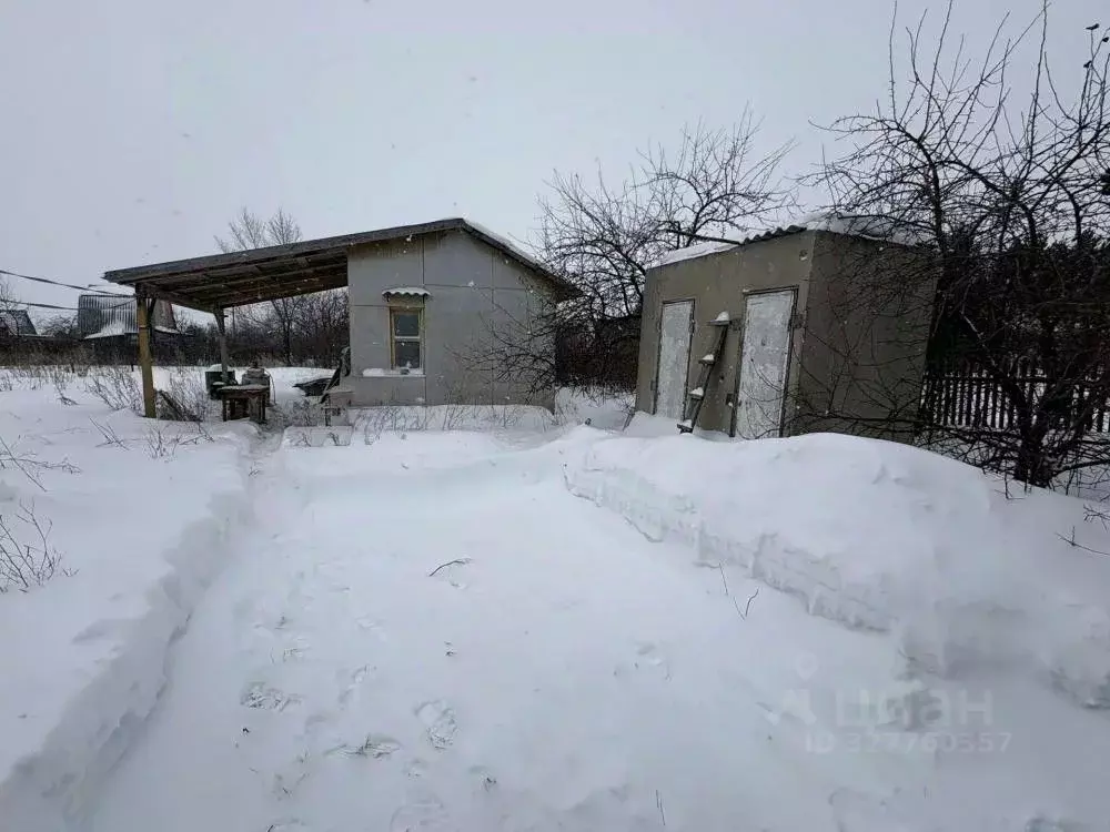 Участок в Омская область, Омский район муниципальный округ, Северянка ... - Фото 1