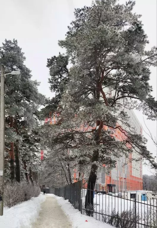 2-к кв. Московская область, Одинцовский городской округ, ... - Фото 2