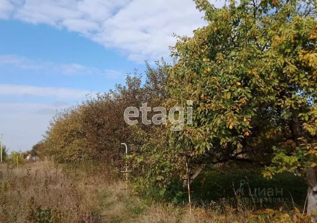 Дом в Белгородская область, Волоконовский район, Староивановское ... - Фото 0