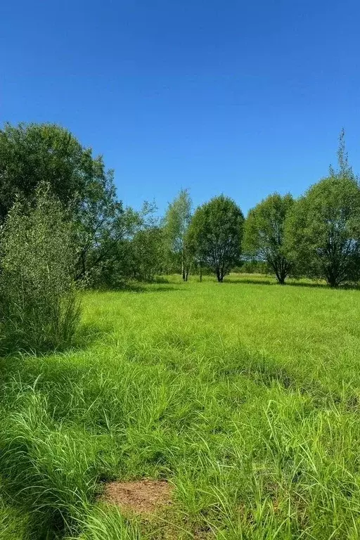 Участок в Калужская область, Калуга городской округ, д. Желыбино  ... - Фото 1