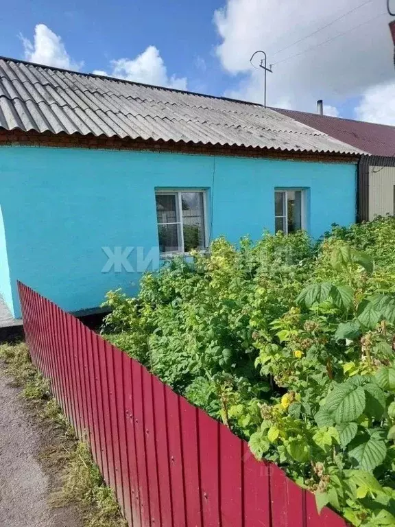 Дом в Новосибирская область, с. Здвинск ул. Трудовая (43 м) - Фото 1