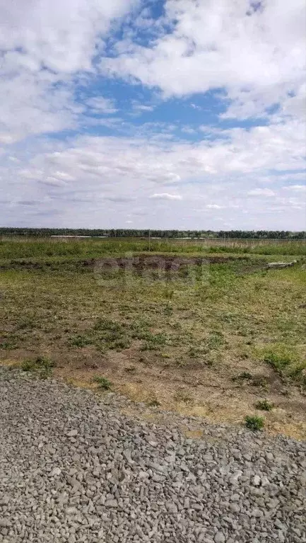 Участок в Ростовская область, Аксайский район, Ленина хут. ул. ... - Фото 0