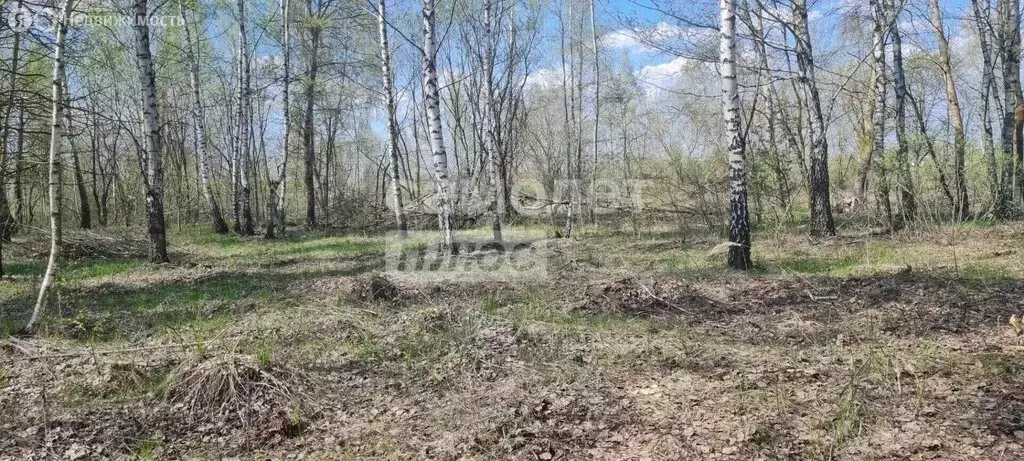 Участок в Курск, 1-я Агрегатная улица, 8 (11 м) - Фото 1