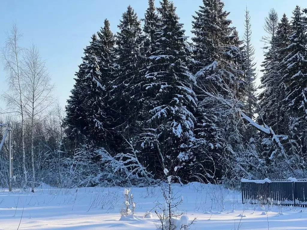 Участок в Московская область, Волоколамский муниципальный округ, д. ... - Фото 1