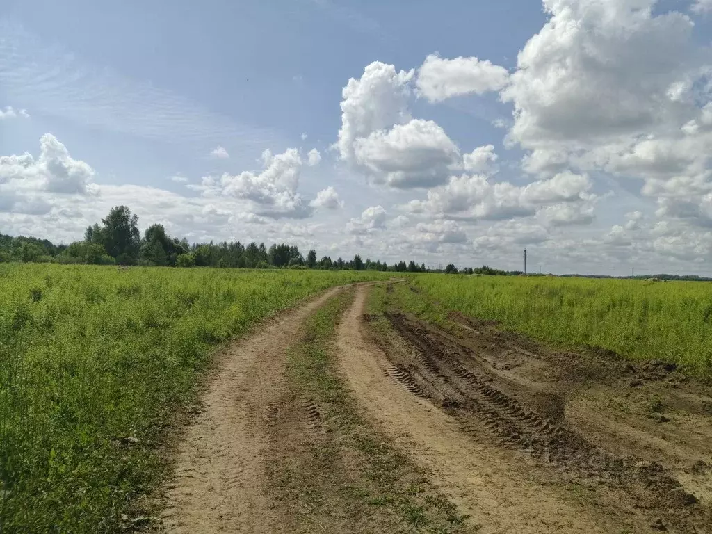 Участок в Нижегородская область, Бор  (8.0 сот.) - Фото 1