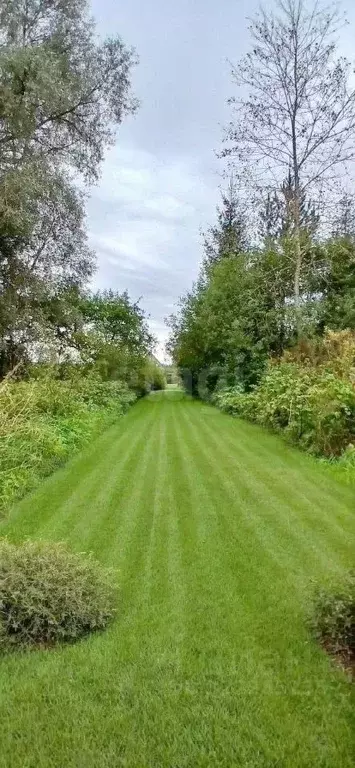 Дом в Псковская область, Островская волость, д. Городище ул. ... - Фото 0