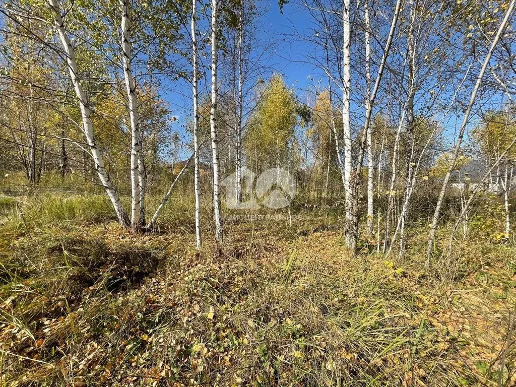 Участок в Новосибирская область, Бердск ул. Германа Титова (11.0 сот.) - Фото 1