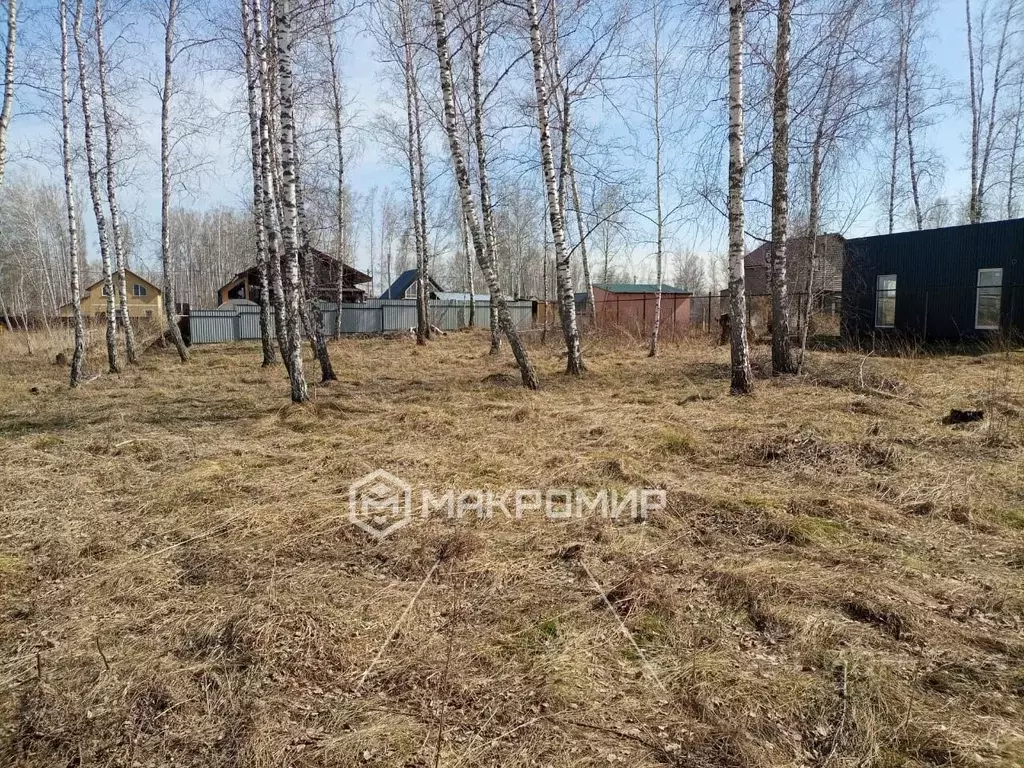 Участок в Новосибирская область, Новосибирский район, Криводановский ... - Фото 1