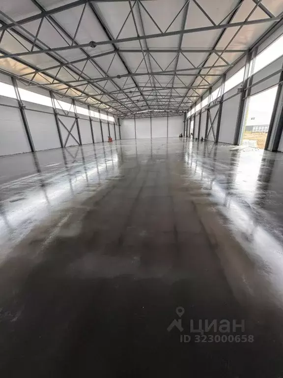 Помещение свободного назначения в Московская область, Раменский ... - Фото 1