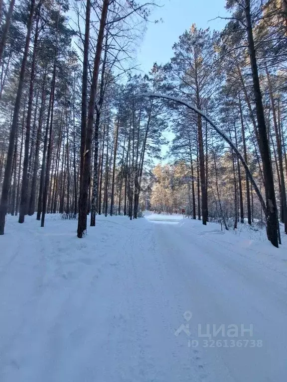 Коттедж в Новосибирская область, Новосибирский район, Кудряшовский дп ... - Фото 2