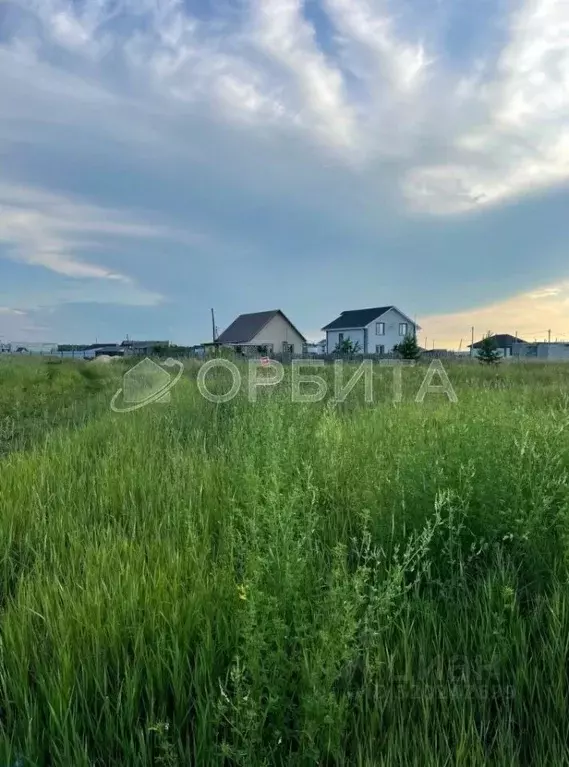 Участок в Тюменская область, Тюменский район, Кулаковское ... - Фото 1