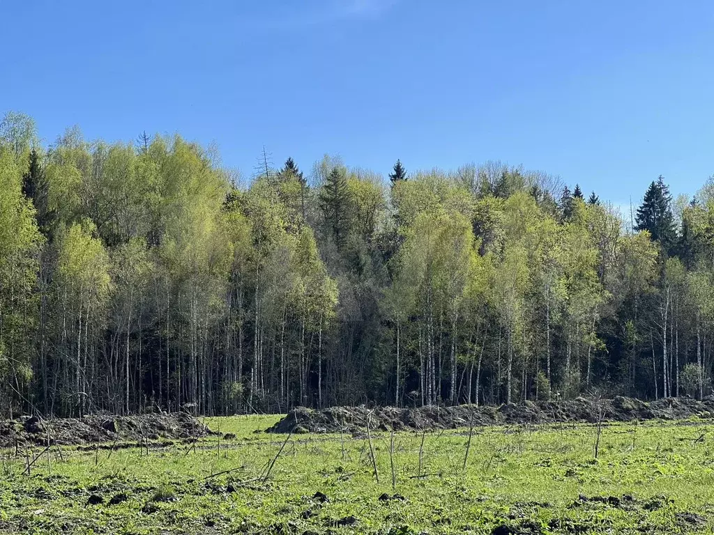 Участок 7,5 сот. (ИЖС) - Фото 1