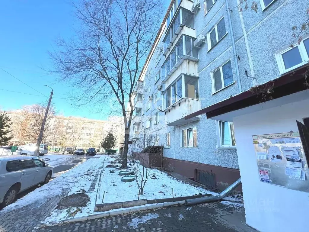 1-к кв. Амурская область, Благовещенск ул. Чайковского, 110 (27.0 м) - Фото 1