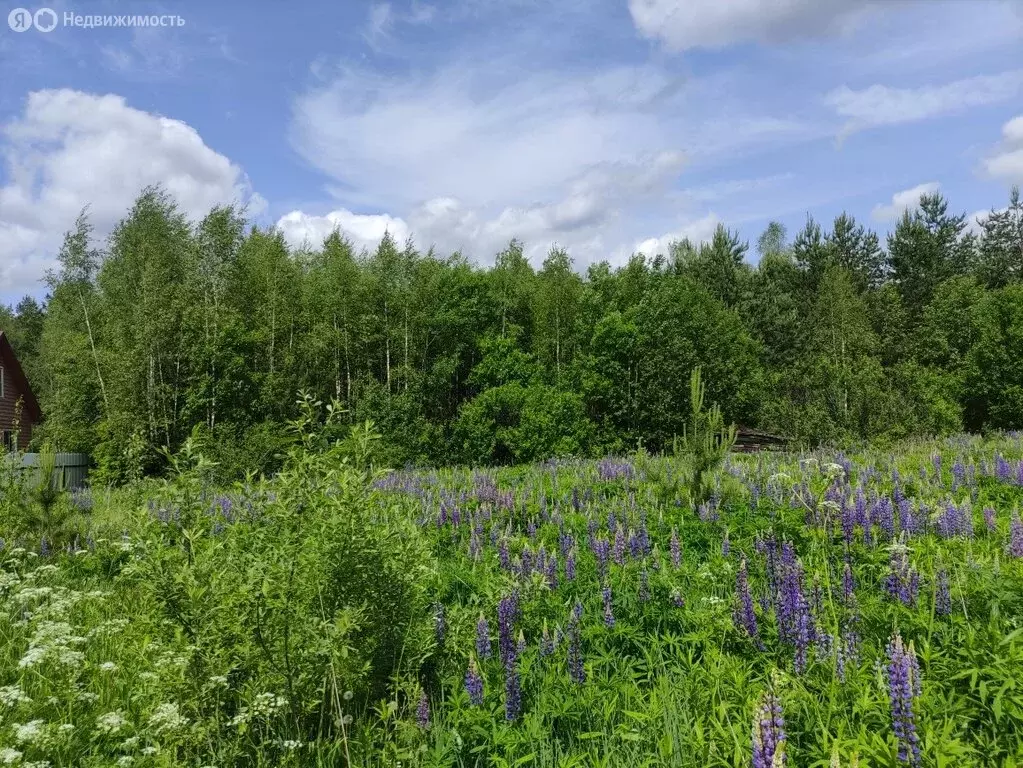 Участок в Александров, СНТ Солнечный, 15 (8.4 м) - Фото 0