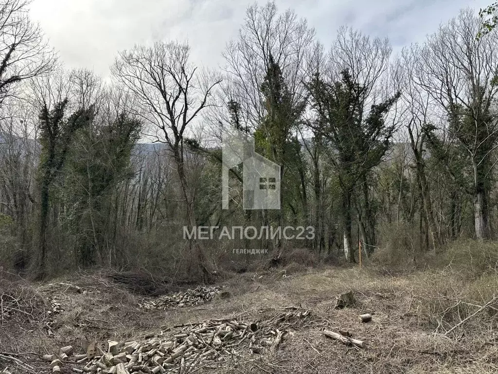 Участок в Краснодарский край, Геленджик муниципальное образование, с. ... - Фото 0