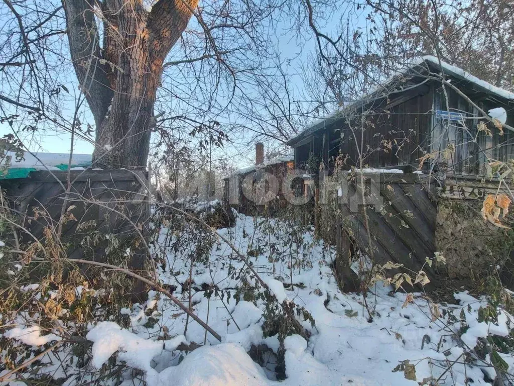 Дом в Новосибирская область, Мошковский район, с. Сокур Рабочая ул. ... - Фото 1