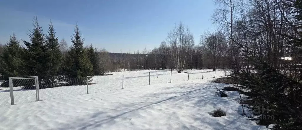 Участок в Московская область, Рузский муниципальный округ, д. ... - Фото 2