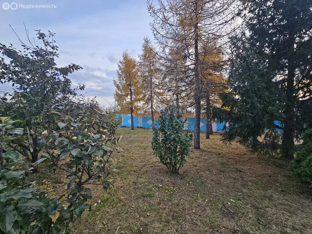 Участок в Челябинская область, Аргаяшский муниципальный округ, деревня ... - Фото 1