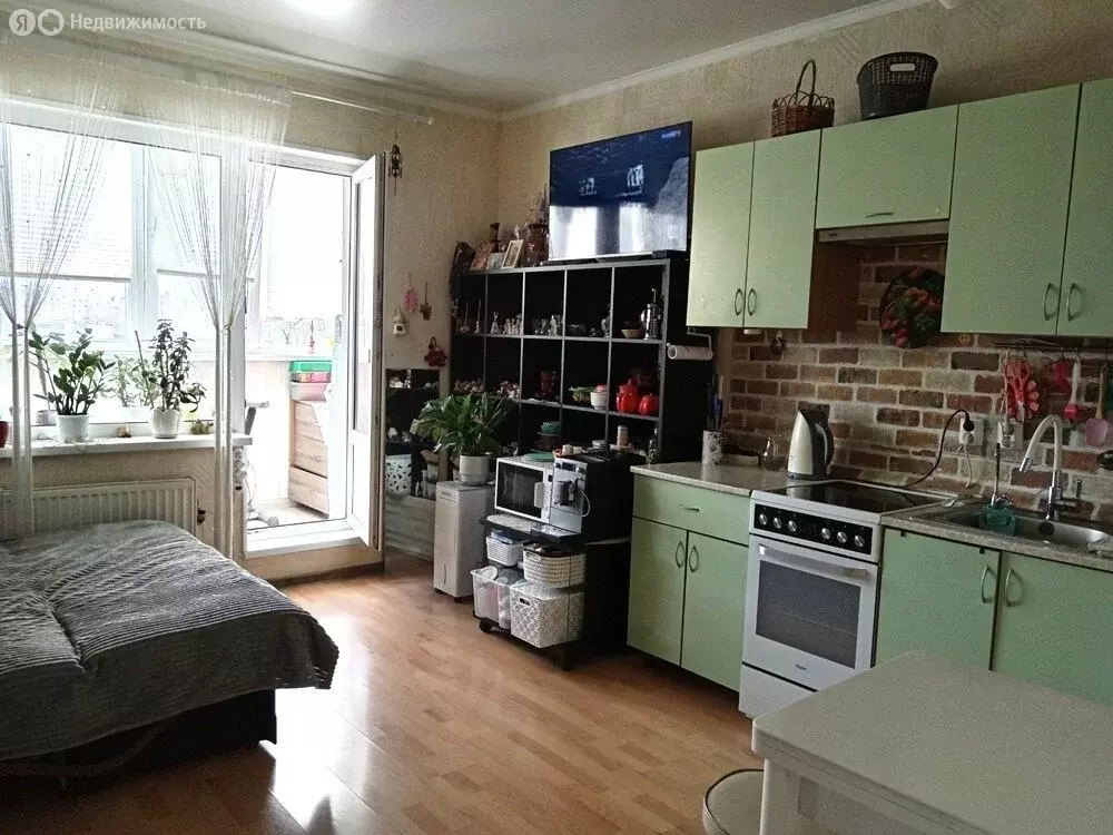 Квартира-студия: Шушары, Московское шоссе, 246 (25.1 м) - Фото 0